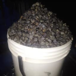 https://blinkers-bucket.nyc3.digitaloceanspaces.com/production/uploads/new/adds/9B5yZOen3eVme3u.webp