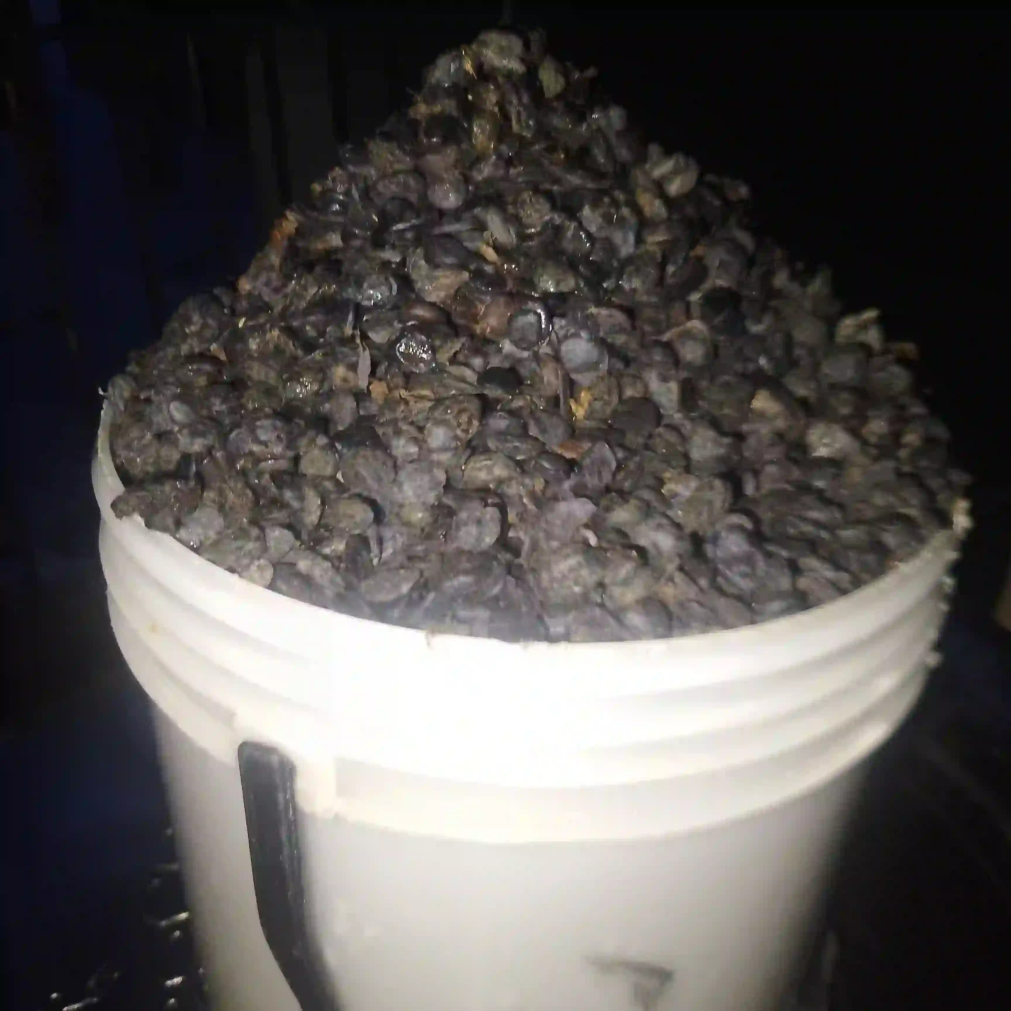 https://blinkers-bucket.nyc3.digitaloceanspaces.com/production/uploads/new/adds/HVDCjzOemd2hJUk.webp