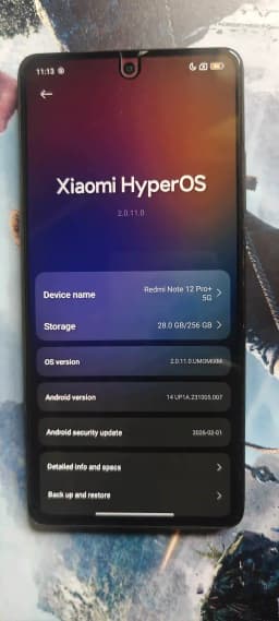 https://blinkers-bucket.nyc3.digitaloceanspaces.com/production/uploads/new/adds/ZouSaQdtx0uv7IW.webp