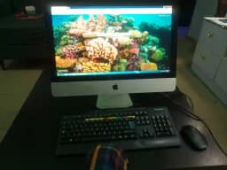 https://blinkers-bucket.nyc3.digitaloceanspaces.com/production/uploads/new/adds/gi45aXJoYTUEVe2.webp