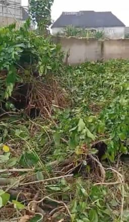 https://blinkers-bucket.nyc3.digitaloceanspaces.com/production/uploads/new/adds/rUOu8i8fYgXSAGL.webp