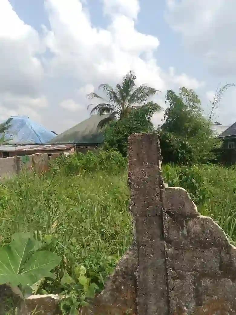 https://blinkers-bucket.nyc3.digitaloceanspaces.com/production/uploads/new/adds/xst0KAnzcwaKHaB.webp